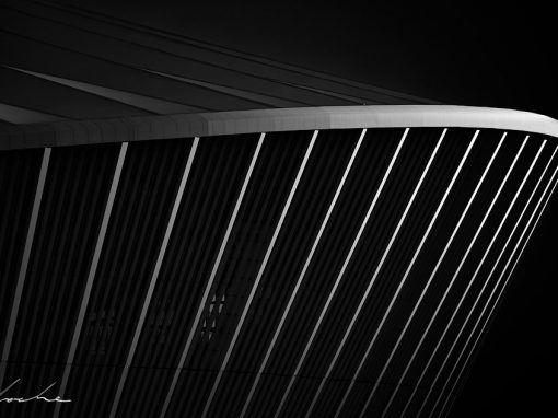 Moses Mabhiba Stadium – Detail Study 1