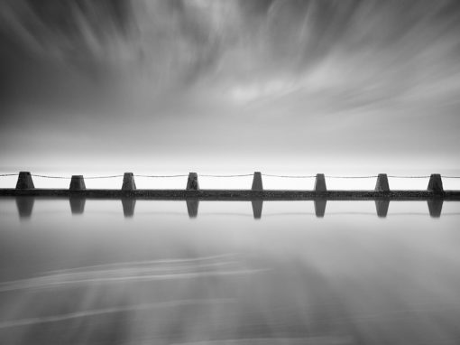 Brighton Beach Tidal Pool Study 1