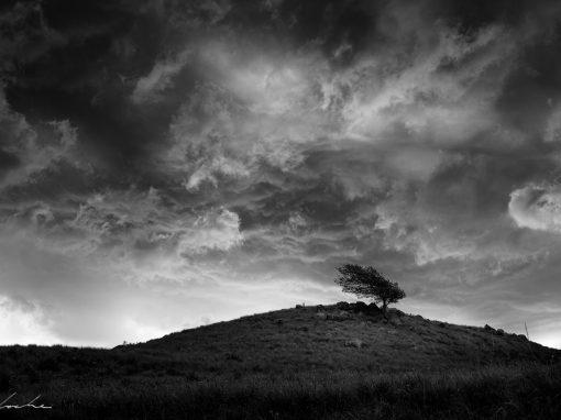 Wuthering Heights