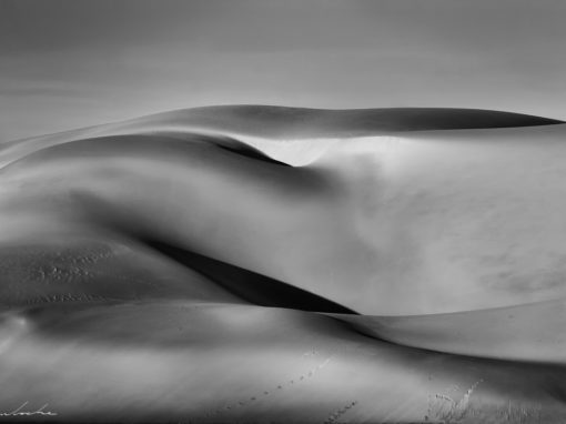 Dunes 01