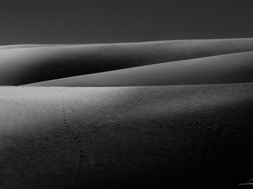 Dunes 02
