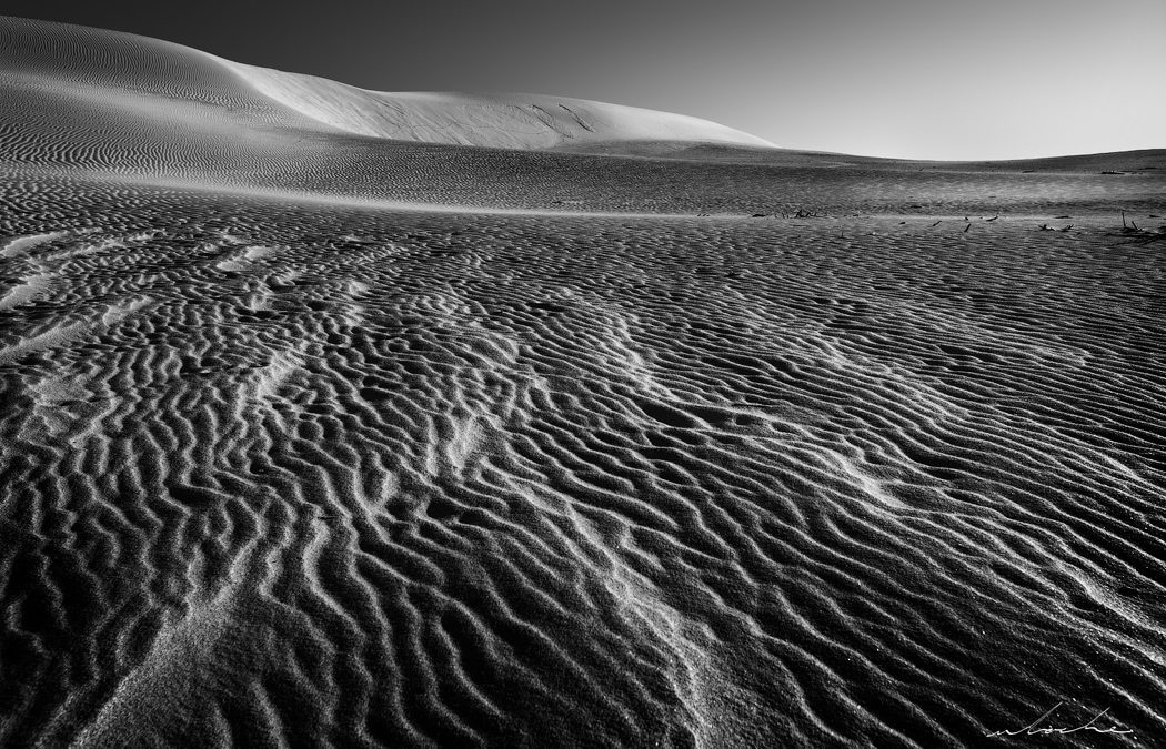 Dunes 05
