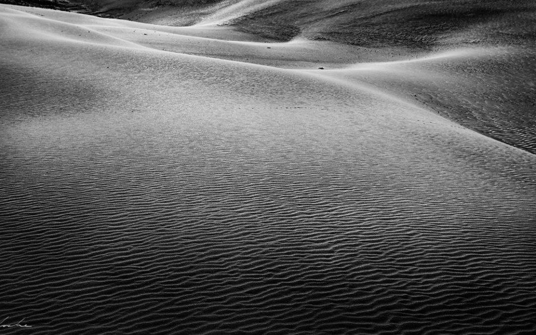 Dunes 07