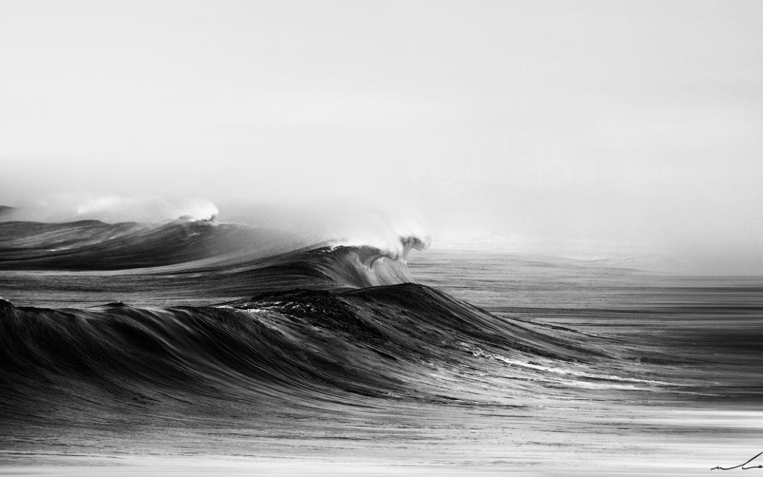 Wave 8804