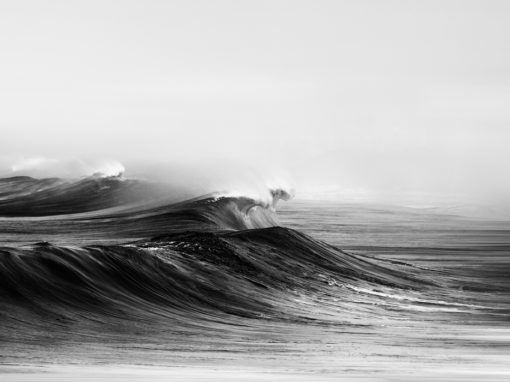 Wave 8804