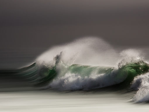 Wave 5831