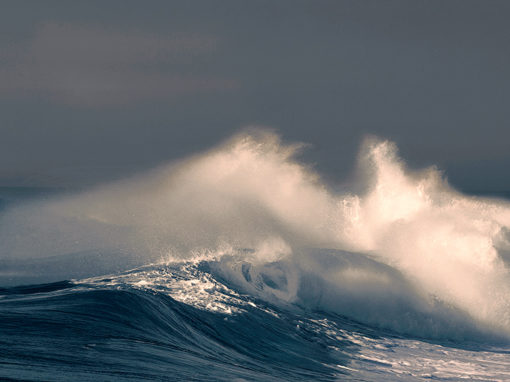 Wave 8458