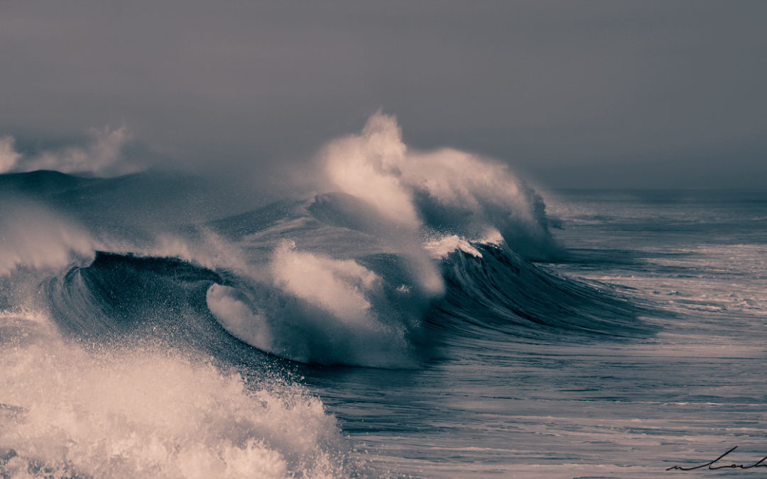 Wave 8471