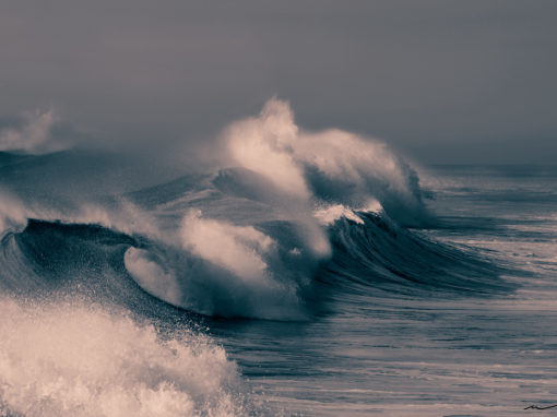 Wave 8471