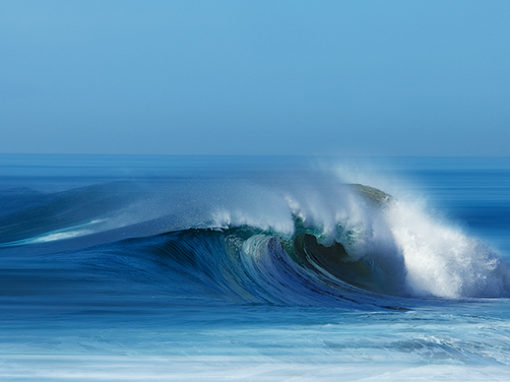 Wave 8978