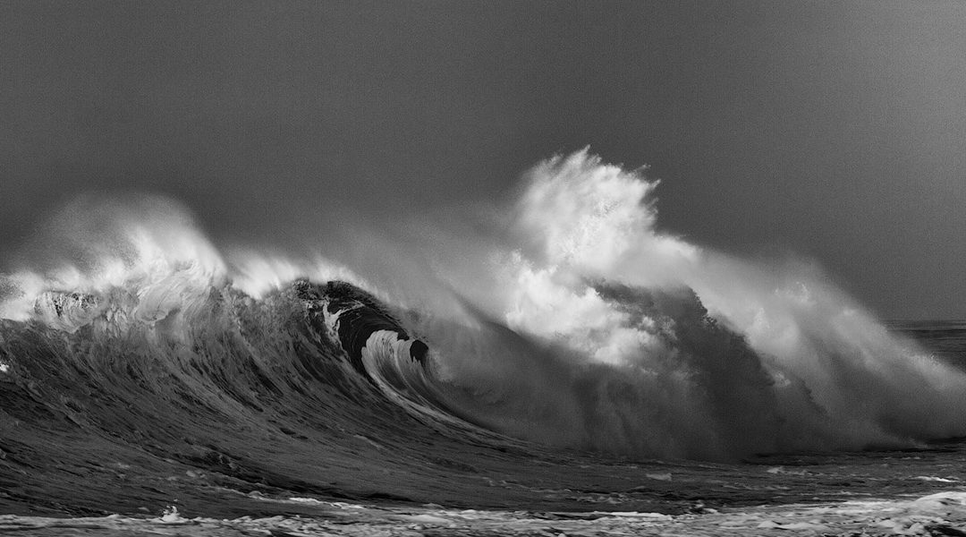 Wave 8171