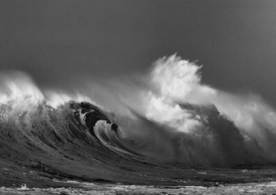 Wave 8171