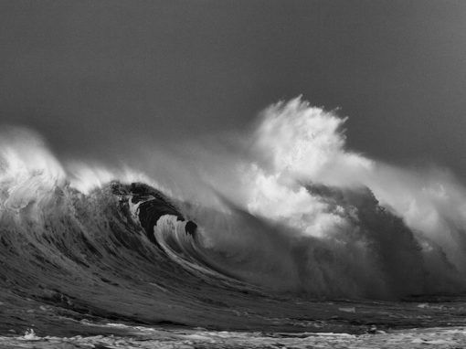 Wave 8171