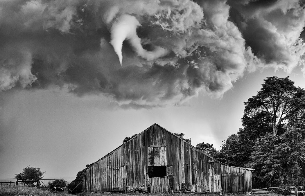 Twister