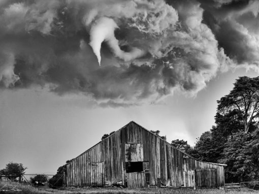 Twister